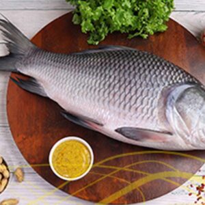 Katol Fish (কাতলা মাছ )